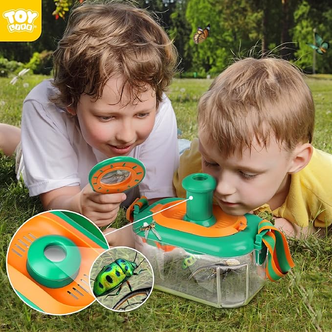Children's Insect Butterfly Ca - Outdoor Adventure Education ulasan dan harga
